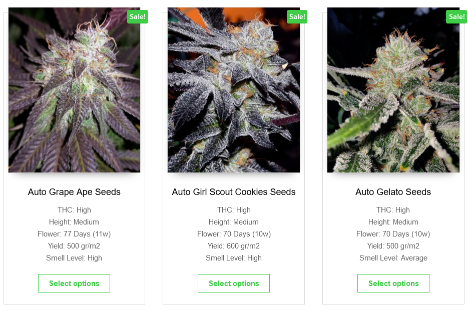 https://www.discountcannabisseeds.co.uk/