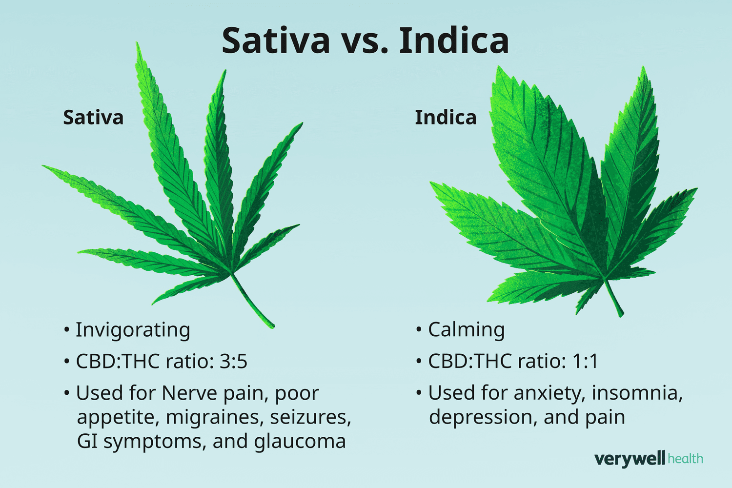 https://www.discountcannabisseeds.co.uk/