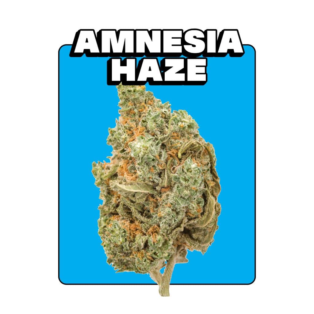 https://www.discountcannabisseeds.co.uk/