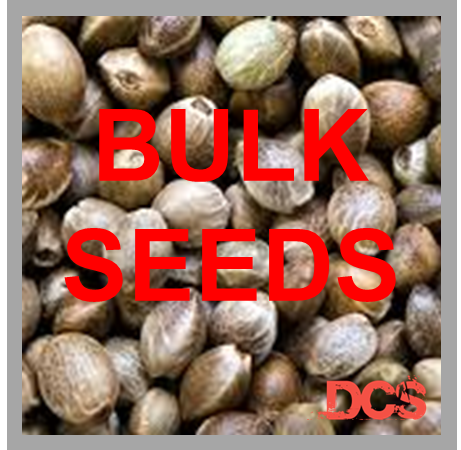 www.discountcannabisseeds.co.uk