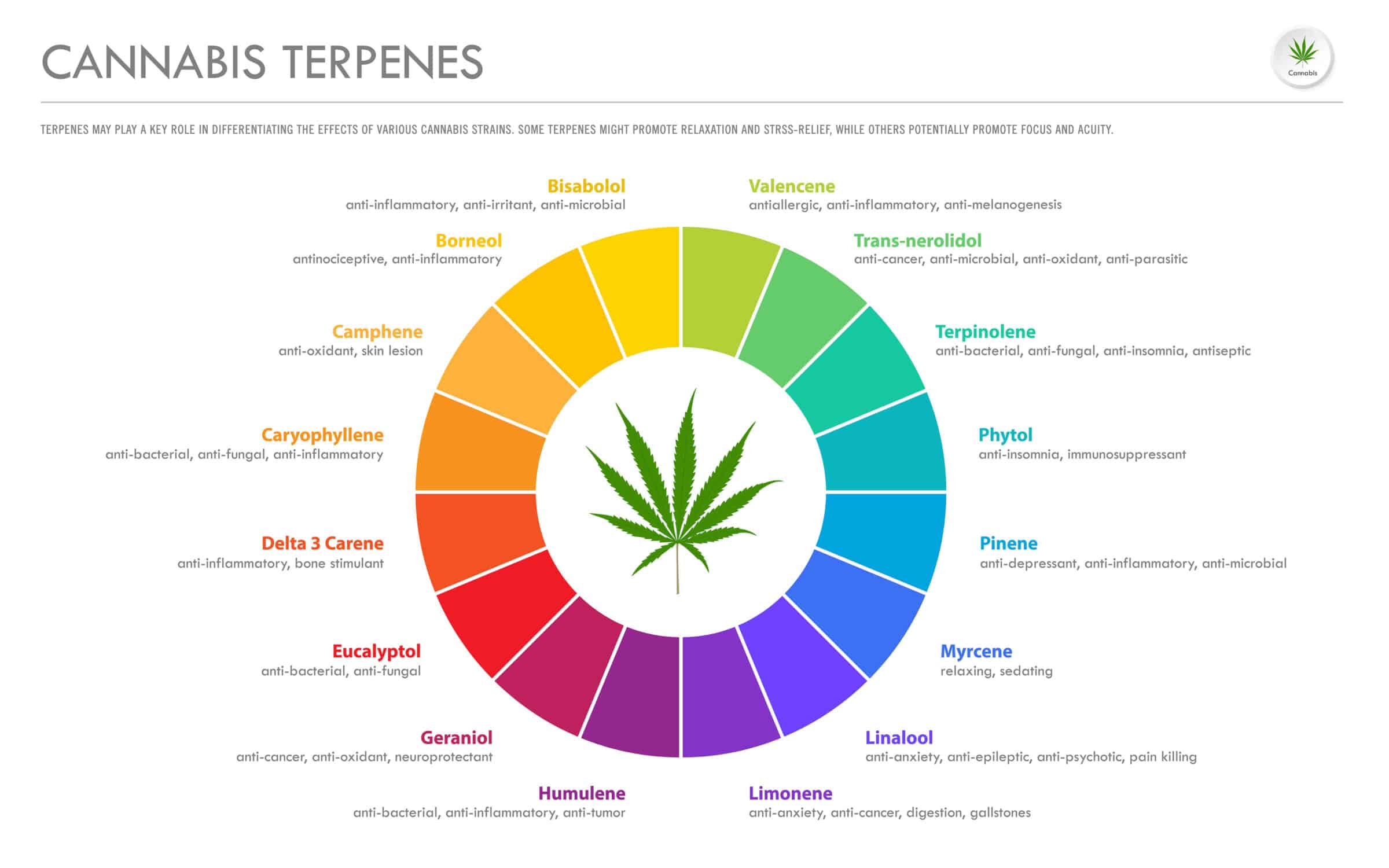 www.discountcannabisseeds.co.uk