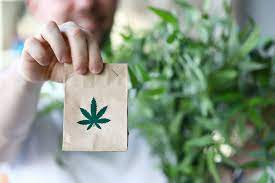 https://www.discountcannabisseeds.co.uk/