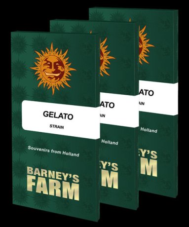 https://www.discountcannabisseeds.co.uk/