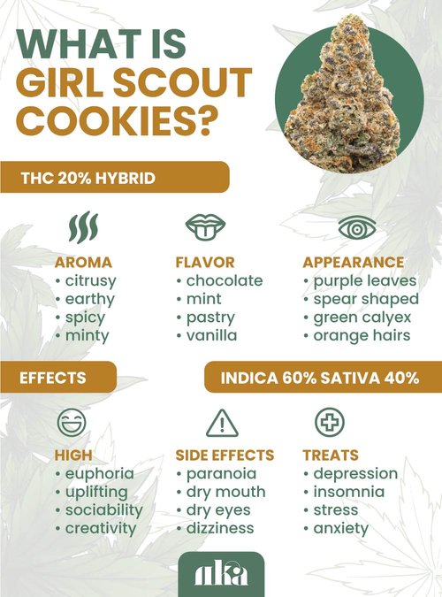 https://www.discountcannabisseeds.co.uk/