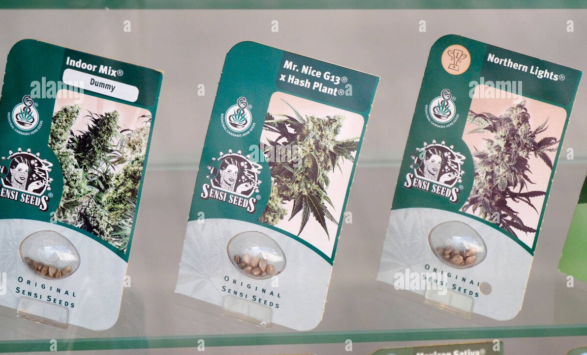 https://www.discountcannabisseeds.co.uk/