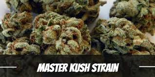 https://www.discountcannabisseeds.co.uk/