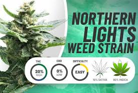 https://www.discountcannabisseeds.co.uk/