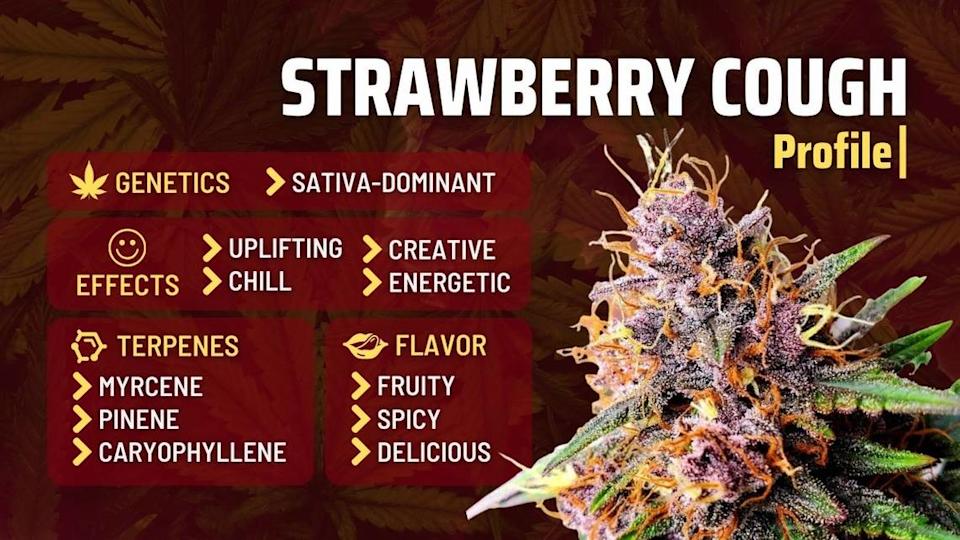 https://www.discountcannabisseeds.co.uk/