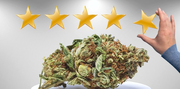 https://www.discountcannabisseeds.co.uk/