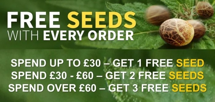 https://www.discountcannabisseeds.co.uk/