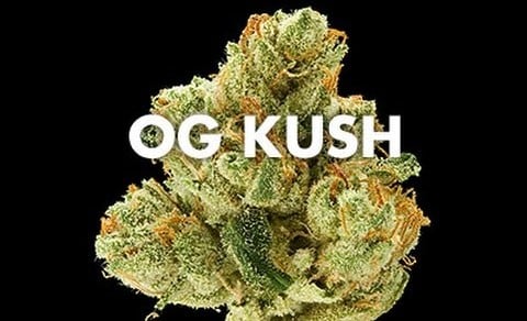 Cannabis Strain Review - OG Kush | Discount Cannabis Seeds