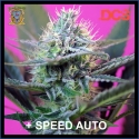 + Speed Auto Feminised Cannabis Seeds | Sweet Seeds