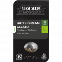 Buttercream Gelato Feminised Cannabis Seeds - Sensi Seeds Research