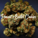 Peanut Butter Cookies Feminised - Tastebudz