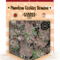 Phantom Cookies Domina Feminised Cannabis Seeds | Garden of Green