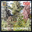 Sweet Mix Feminised Cannabis Seeds | Sweet Seeds