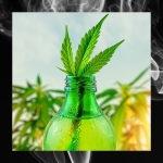 CBD Drinks - Discount Cannabis seeds