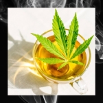CBD Tea - Discount Cannabis Seeds