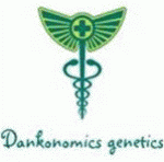 Dankonomics Genetics Cannabis Seeds | Discount Cannabis Seeds