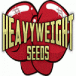 Heavyweight Seeds | Discount Cannabis Seeds