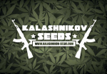 Kalashnikov Seeds | Discount Cannabis Seeds