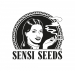 Sensi Seeds | Discount Cannabis Seeds