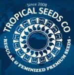 Tropical Seeds | Discount Cannabis Seeds