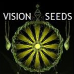 Vision Seeds | Discount Cannabis Seeds