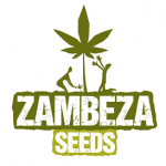 Zambeza Seeds | Discount Cannabis Seeds