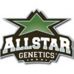 Allstar Genetics Seeds | Discount Cannabis Seeds