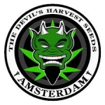Devil's Harvest Cannabis Seeds | Discount Cannabis Seeds