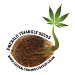 Emerald Triangle Seeds | Discount Cannabis Seeds