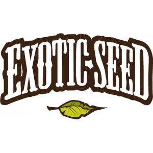 Exotic Seeds | Discount Cannabis Seeds