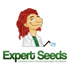 Expert Seeds | Discount Cannabis Seeds
