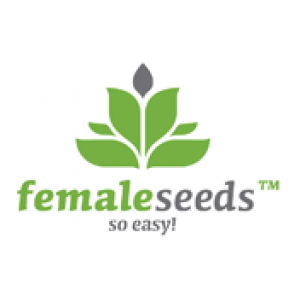 Female Seeds Feminised Cannabis Seeds | Discount Cannabis Seeds