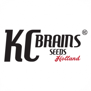 KC Brains Seeds | Discount Cannabis Seeds
