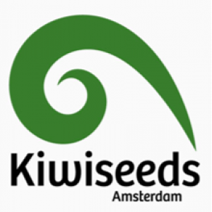 Kiwi Seeds | Discount Cannabis Seeds