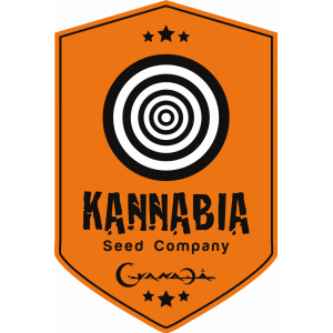 Kannabia Seeds | Discount Cannabis Seeds