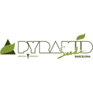 Pyramid Seeds | Discount Cannabis Seeds