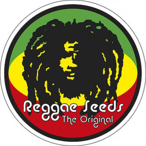 Reggae Seeds | Discount Cannabis Seeds