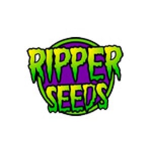 Ripper Seeds | Discount Cannabis Seeds