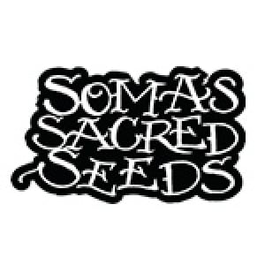 Soma Seeds| Discount Cannabis Seeds