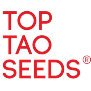 Top Tao Seeds | Discount Cannabis Seeds