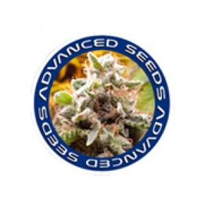 Advanced Seeds | Discount Cannabis Seeds