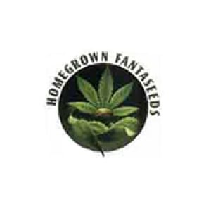 Homegrown Fantaseeds Seeds Discount Cannabis Seeds