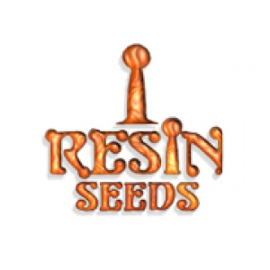 Resin Seeds | Discount Cannabis Seeds
