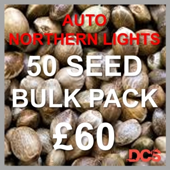 Auto Northern Lights Feminised Cannabis Seeds | 50 Seed Bulk Pack
