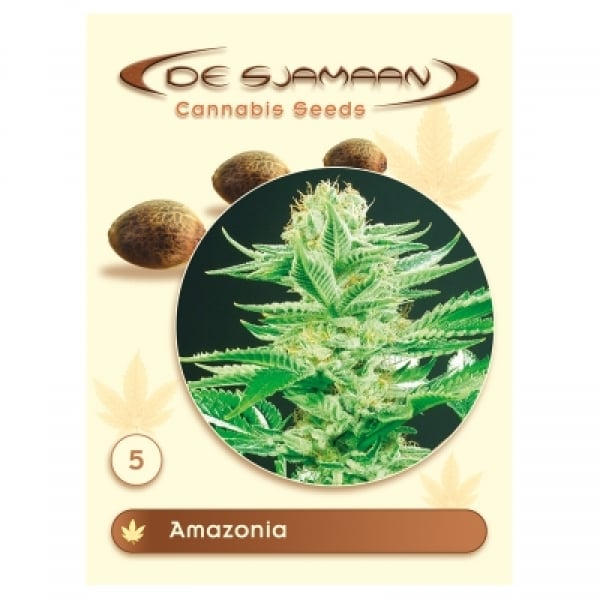 Amazonia Regular Cannabis Seeds