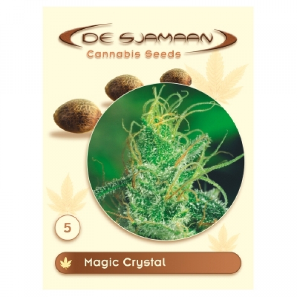 Magic Crystal Regular Cannabis Seeds