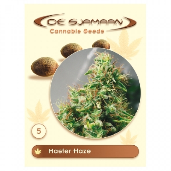 Master Haze Regular Cannabis Seeds